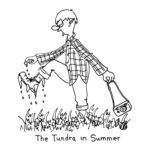 The tundra in Summer sketch